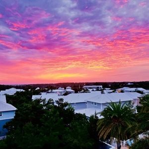 Meet your Posher, Joy